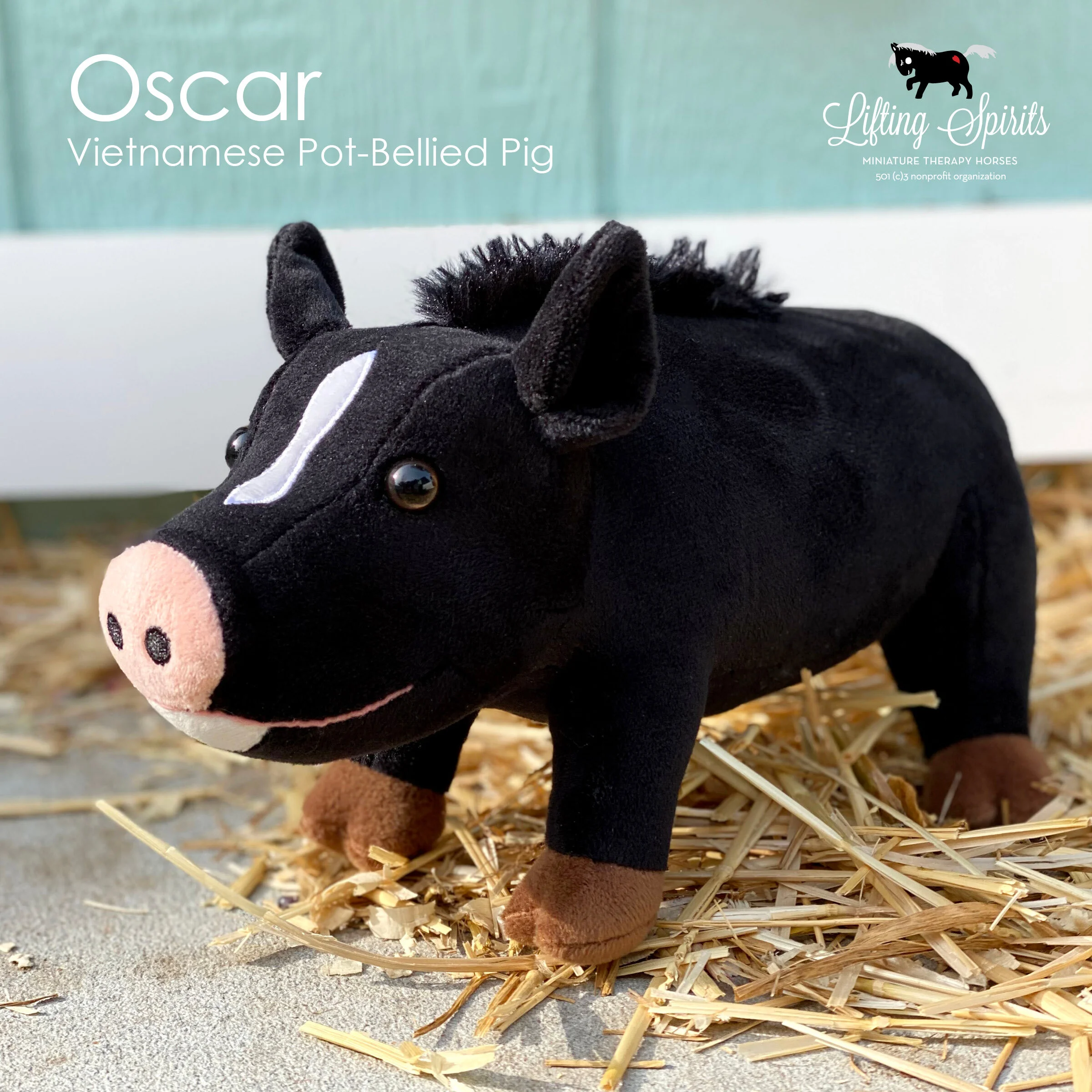 Oscar the Pig — Lifting Spirits Miniature Therapy Horses